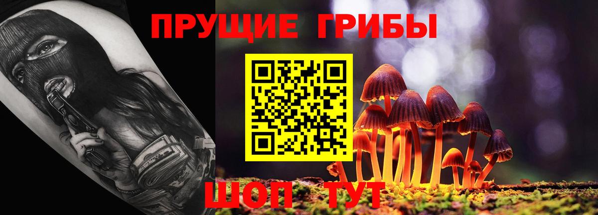 Псилоцибиновые грибы мухоморы Дедовск